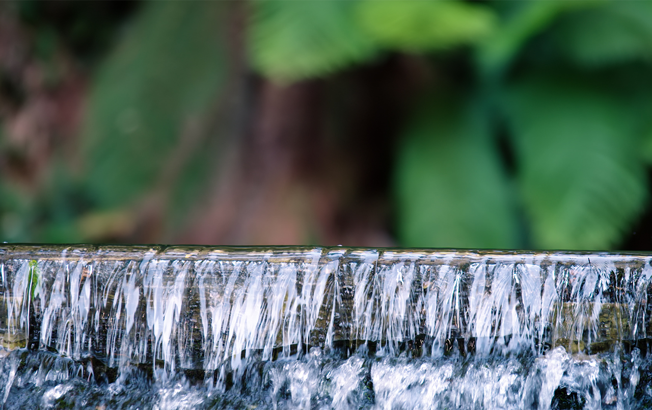 Water flowing over the edge of a flat rock with leafy trees in the background