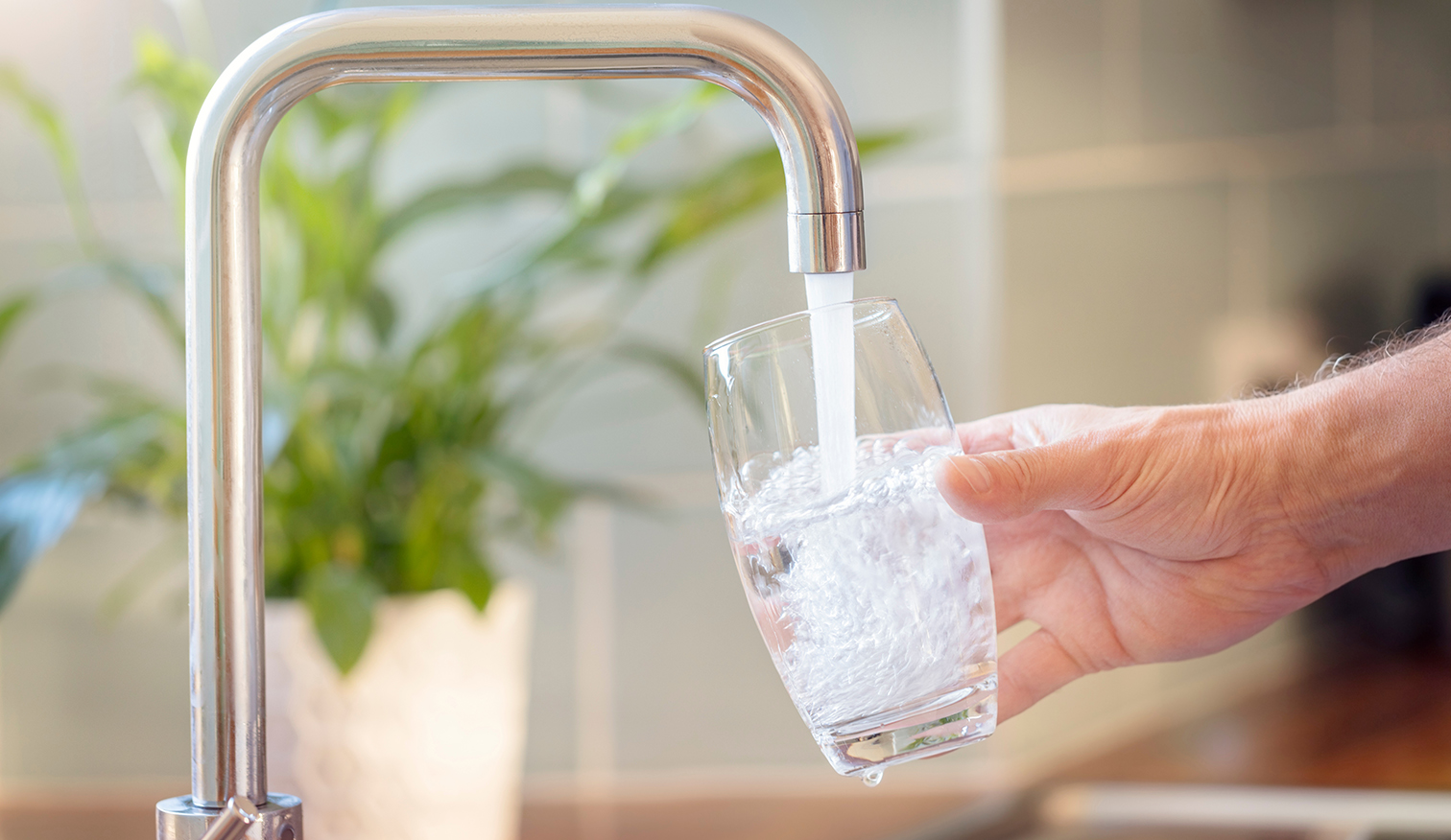 Male hand holding a water glass being filled under silver tap with a green pot plant blurred out in the background