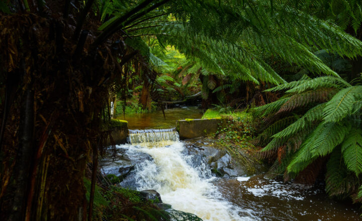 Reducing the environmental impact and securing water supply on Gellibrand River