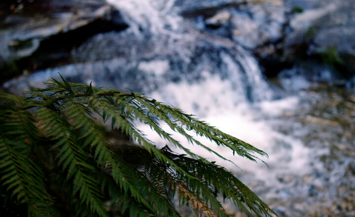 Help shape our region’s water plan