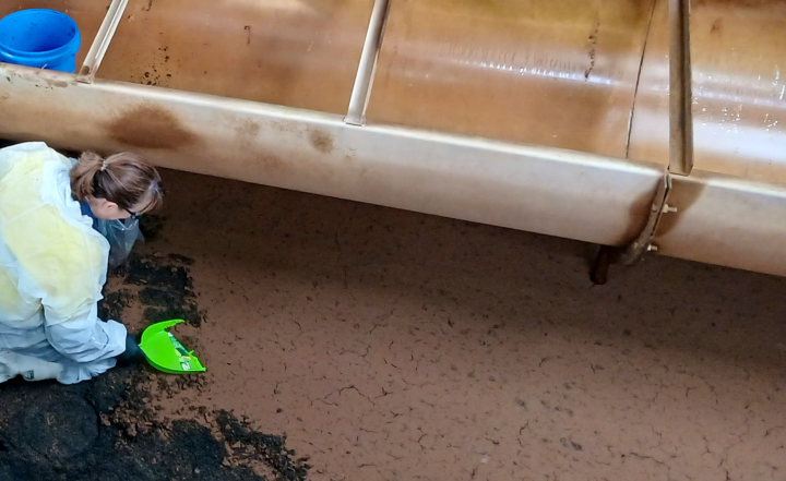 Celebrating women in science – Sharon’s story